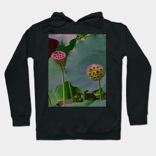 Alchemia, Lotus Seed heads (Just the Two of Us) Hoodie